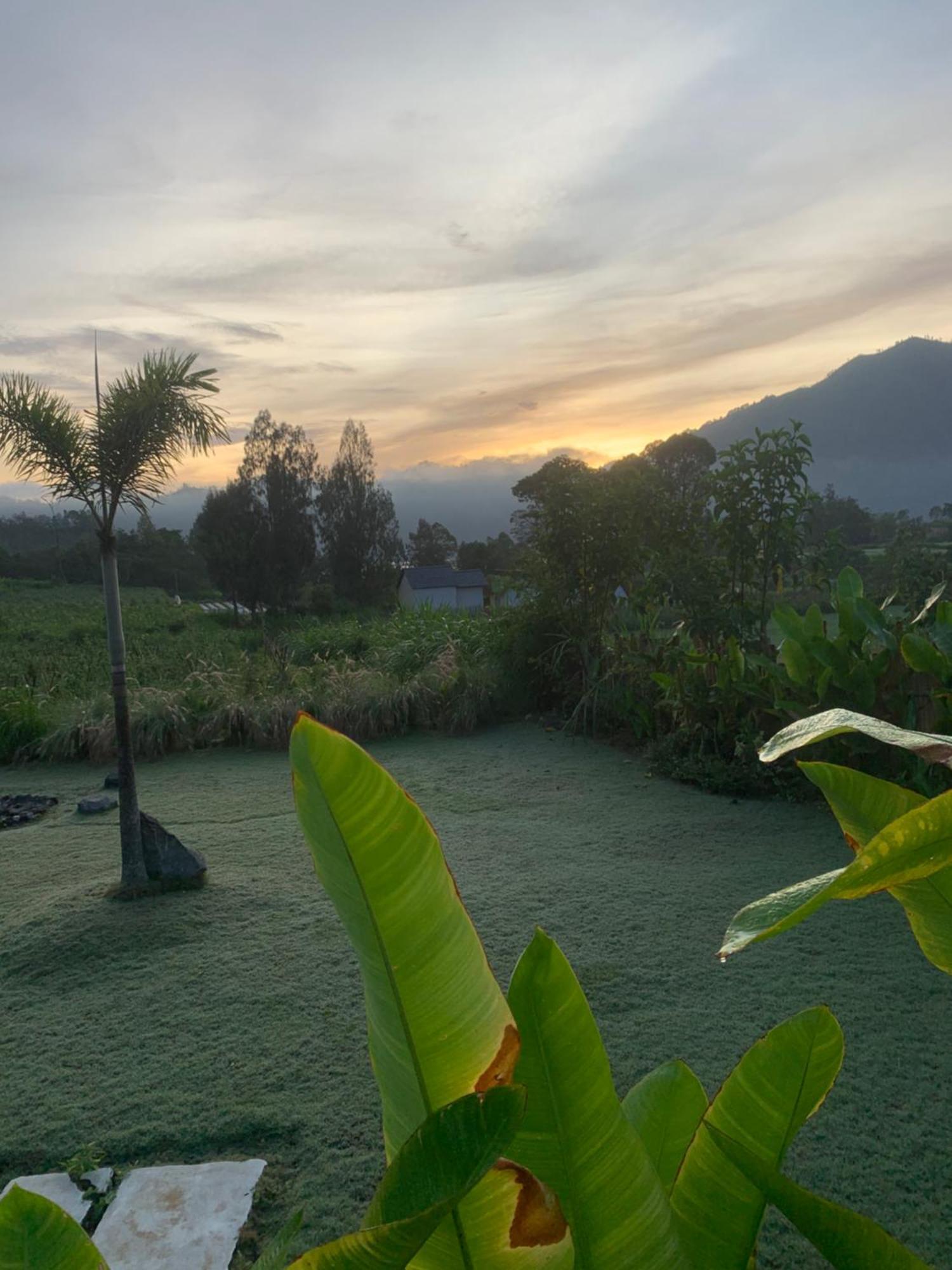 Hotel Bali Lesung Kintamani Exteriér fotografie
